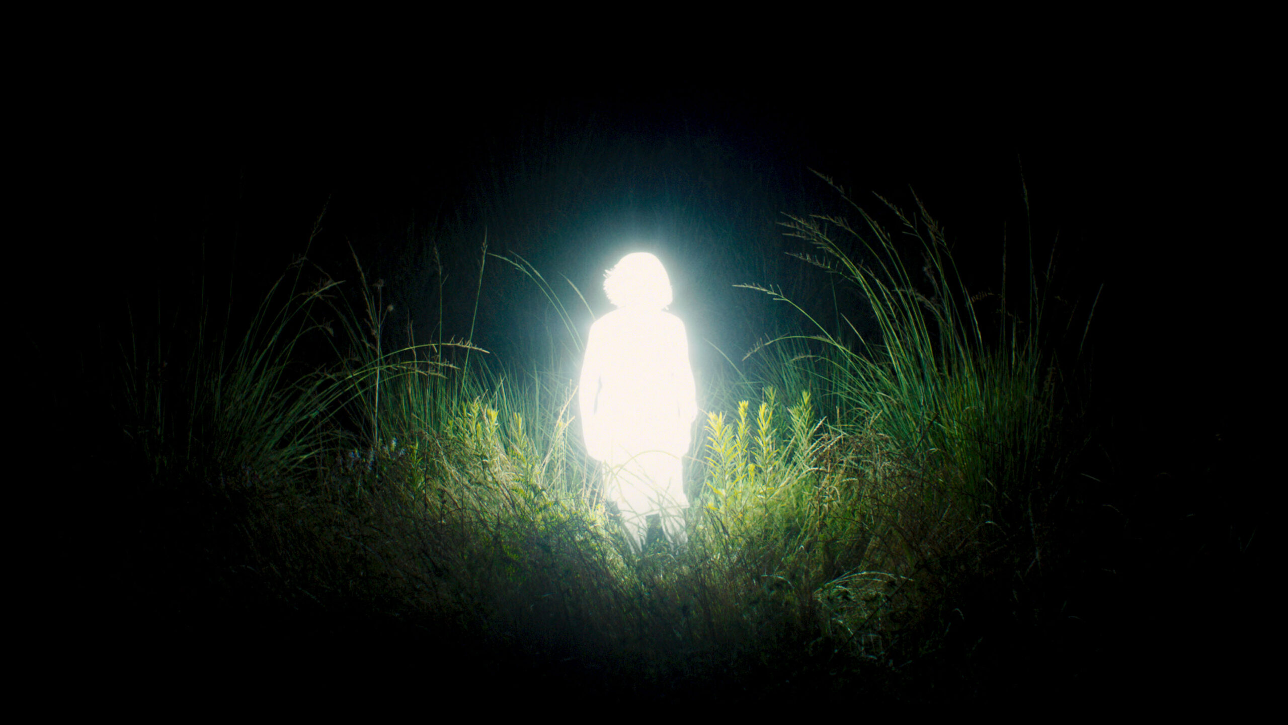 Chronicles of a Wandering Saint